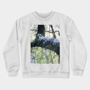 Forest Sun Rays in the Snow #39 Crewneck Sweatshirt